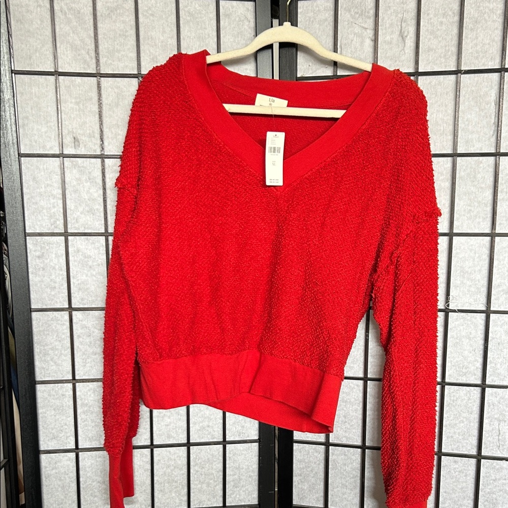 Red V-Neck Textured Sweater